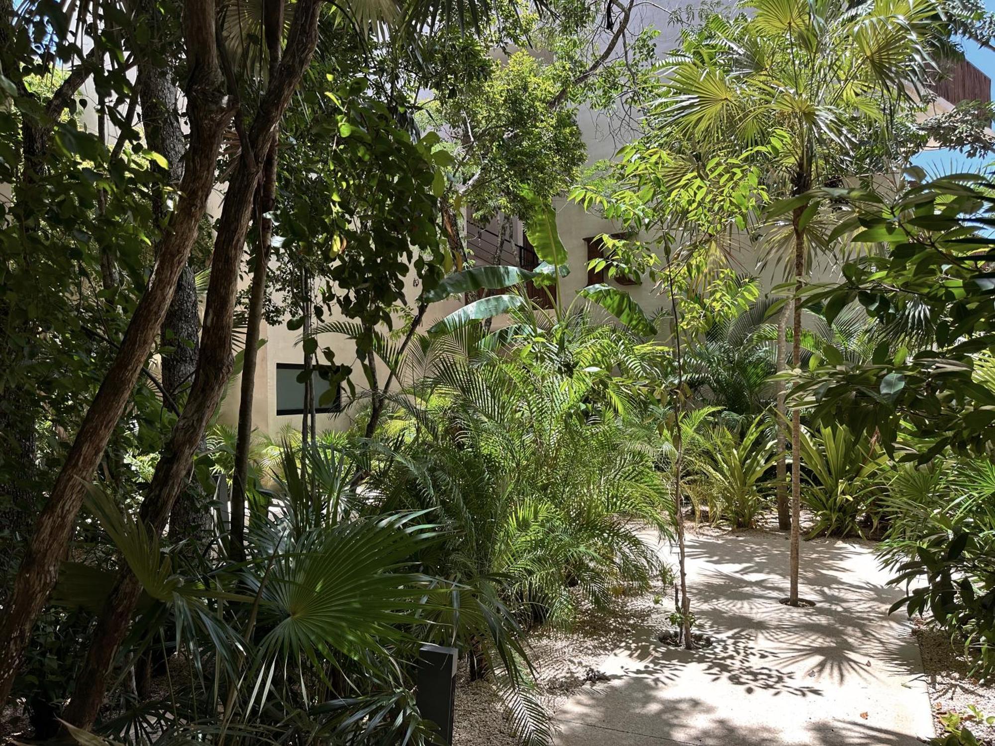 Ophelia Tulum Condo In Aldea Zama Exteriér fotografie